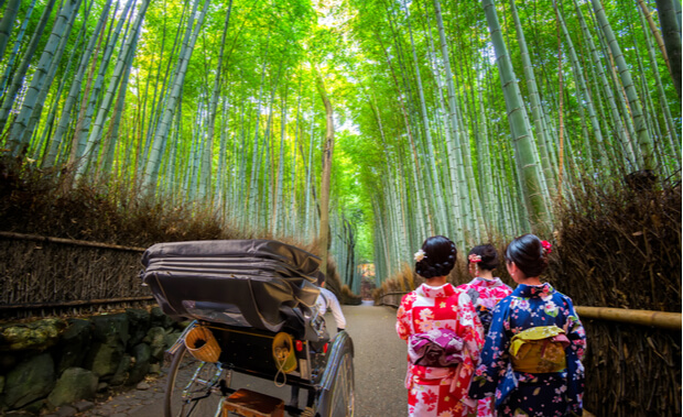 必ず食べてほしい京都 嵐山でおすすめの湯豆腐店5選 マネープレス