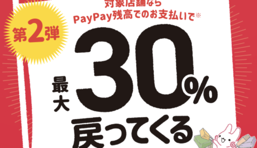 ディズニーランドでpaypay ペイペイ は使える 使えない 21年11月現在 マネープレス