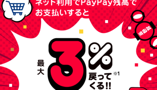 アイシティでpaypay ペイペイ は使える 使えない 2021年11月現在 マネープレス