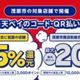 茂原市で楽天ペイがお得！2024年8月18日（日）まで最大35％戻ってくるキャンペーン実施中