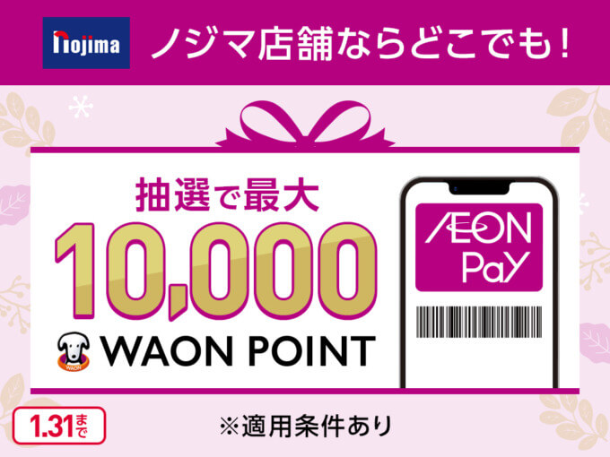 ノジマでイオンペイ（AEON Pay）がお得！2025年1月31日（金）まで抽選で最大10,000WAON POINT進呈