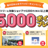 楽天市場 母の日みんなでハッピーキャンペーンが開催中！2024年5月13日（月）まで最大35,000ポイントプレゼント