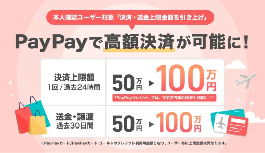 PayPay（ペイペイ）で高額決済が可能に！2024年11月から1回あたりの決済上限額を50万円から100万円に引き上げ