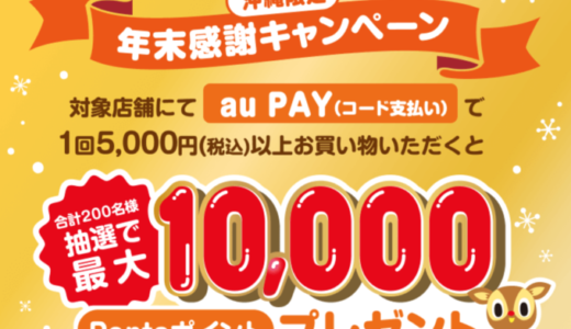 au PAY（auペイ）年末感謝キャンペーンが開催中！2024年12月31日（火）まで最大10,000Pontaポイントプレゼント