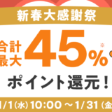 au PAY ふるさと納税 新春大感謝祭が開催！2025年1月1日（水・祝）から合計最大45%・50%ポイント還元